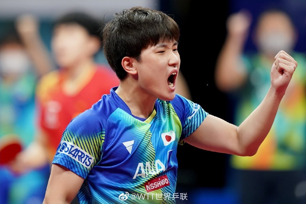 张本智和为什么加入日本 乒乓球张本智和个人资料简介