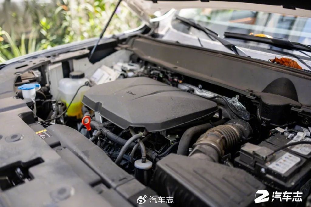 我为什么选了二代大狗