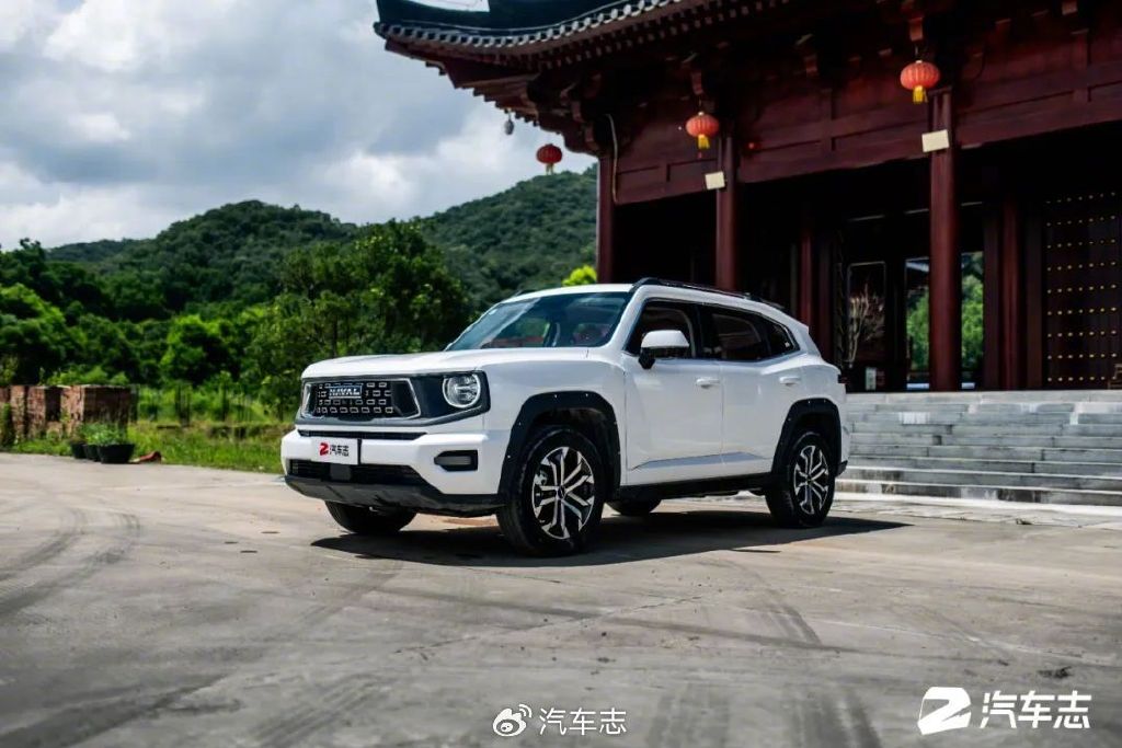 我为什么选了二代大狗