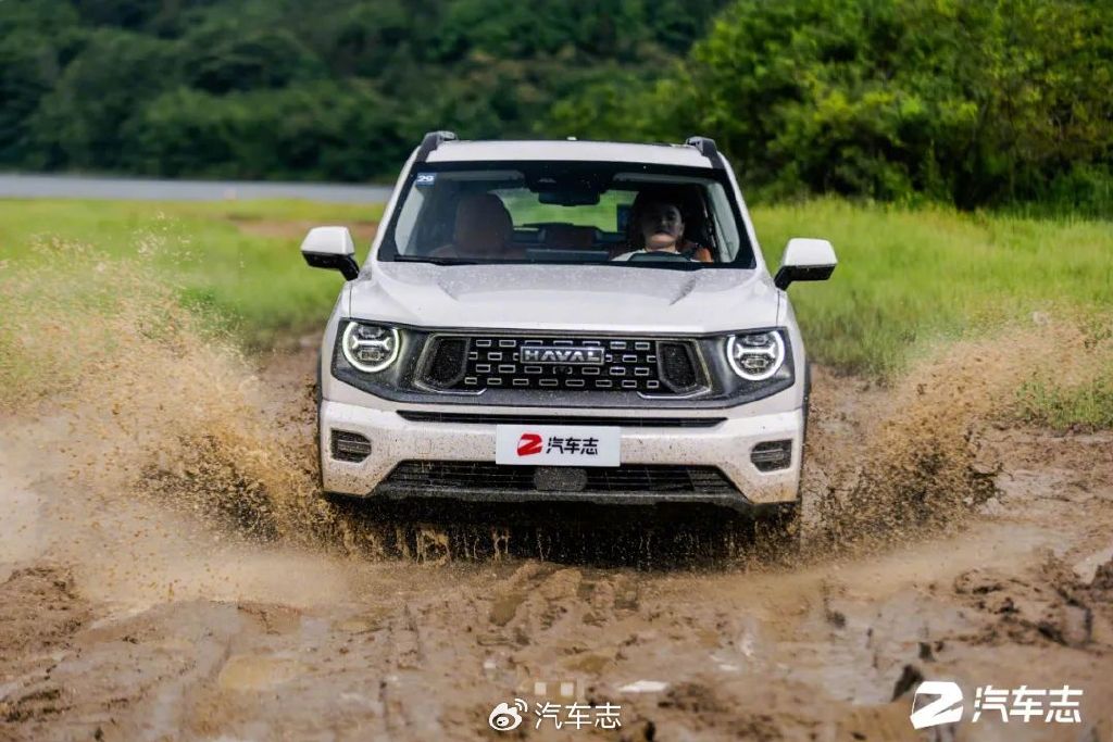 我为什么选了二代大狗