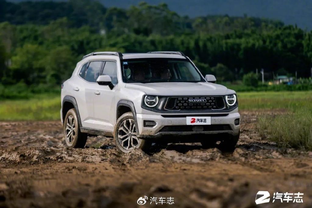 我为什么选了二代大狗