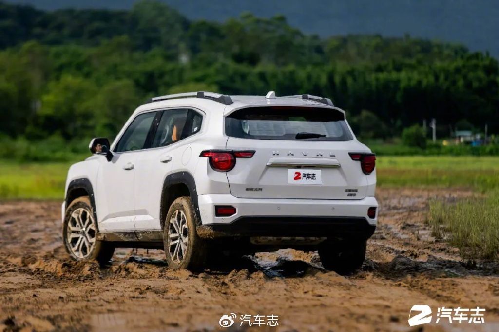 我为什么选了二代大狗