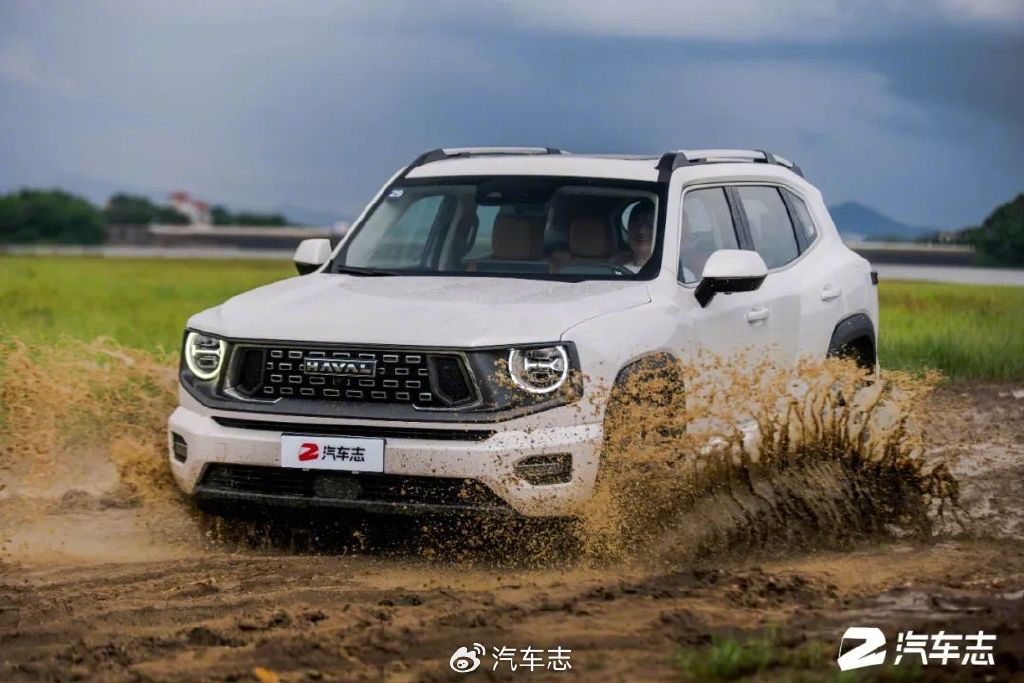 我为什么选了二代大狗