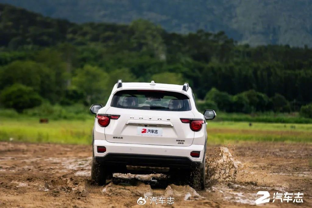 我为什么选了二代大狗