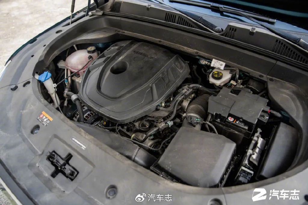 我为什么选了二代大狗