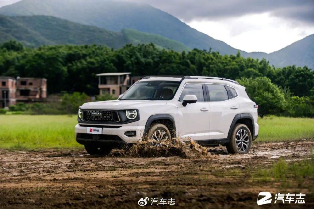 我为什么选了二代大狗