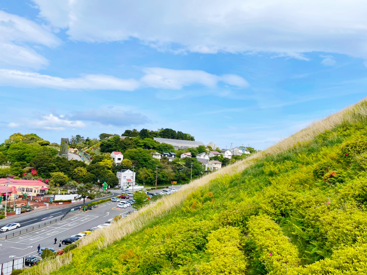 风景绝伦的伊豆大室山_高清图集_新浪网