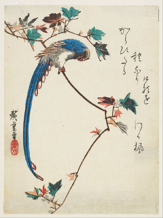 花鸟画欣赏! :日本著名版画大师utagawa hiroshige