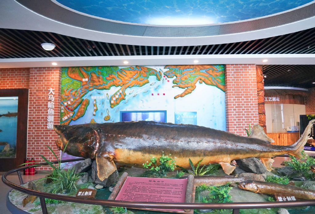 抚远市鱼文化展览馆