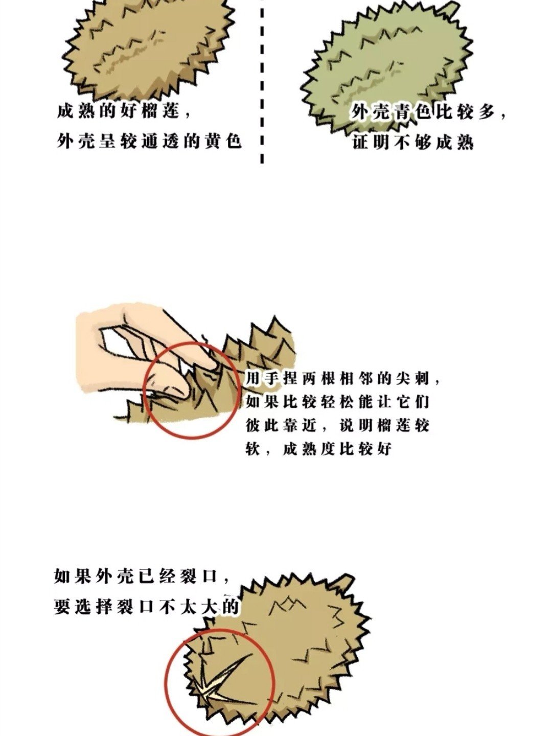 本地seo推广推荐