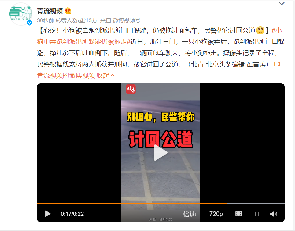 心疼！小狗被毒跑到派出所门口躲避，仍被拖进面包车，民警帮它讨回公道，网友留言让人泪目休闲区蓝鸢梦想 - Www.slyday.coM