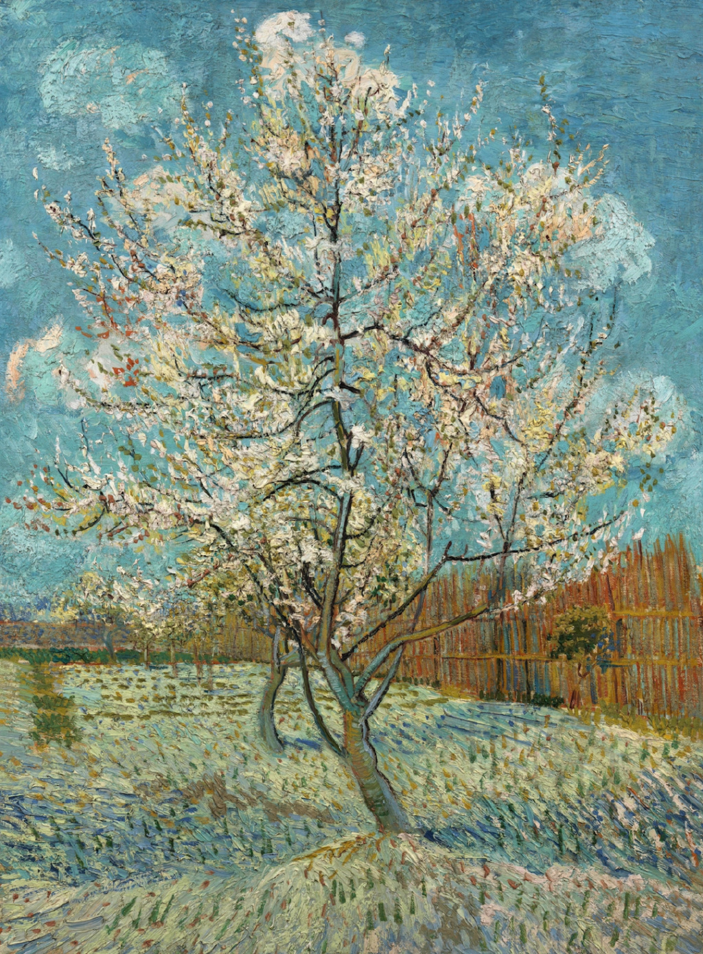 这是一篇2022年2月22日22点发布的推文休闲区蓝鸢梦想 - Www.slyday.coM