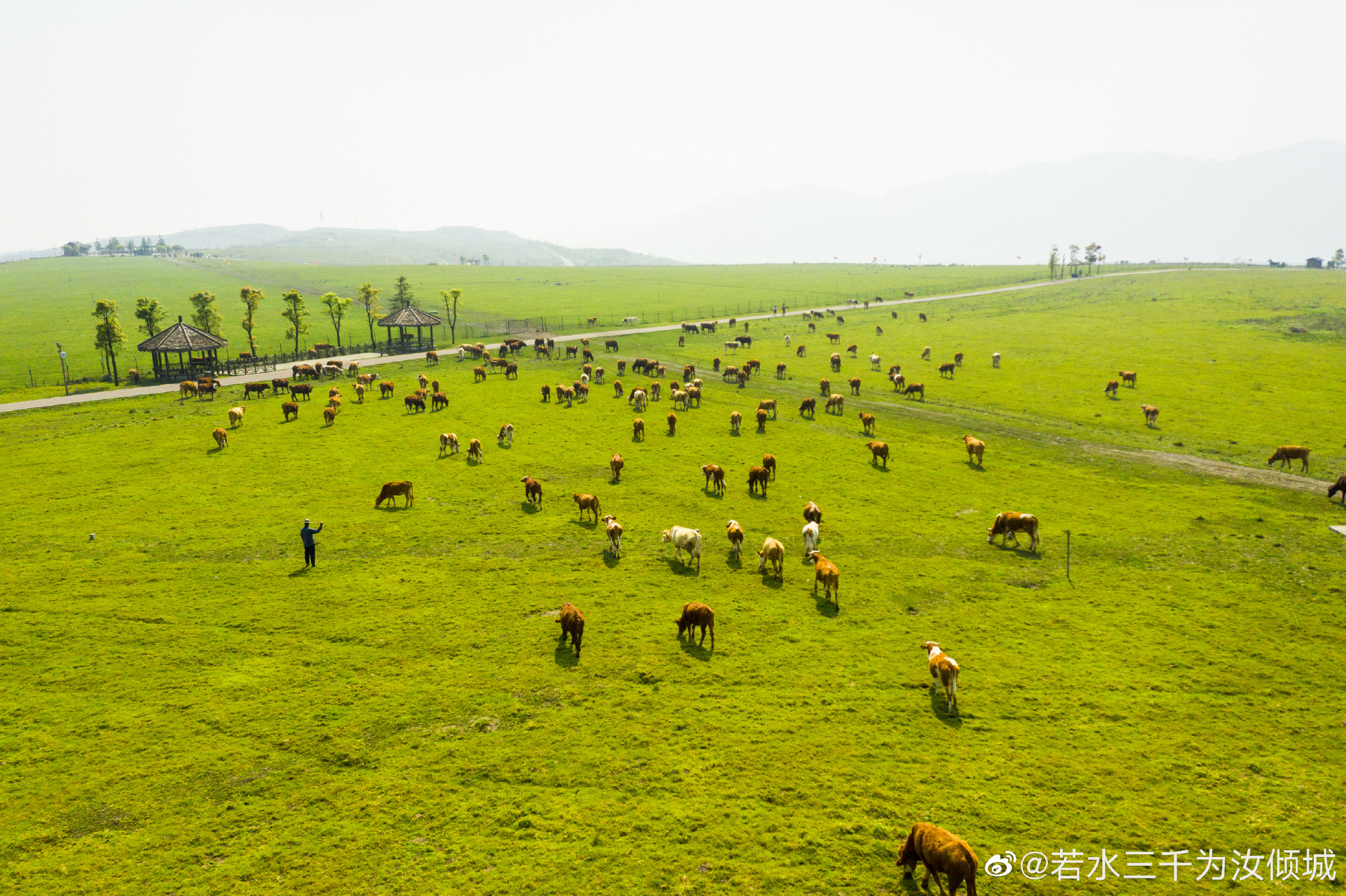 云贵高原上的草原——黔西南放马坪