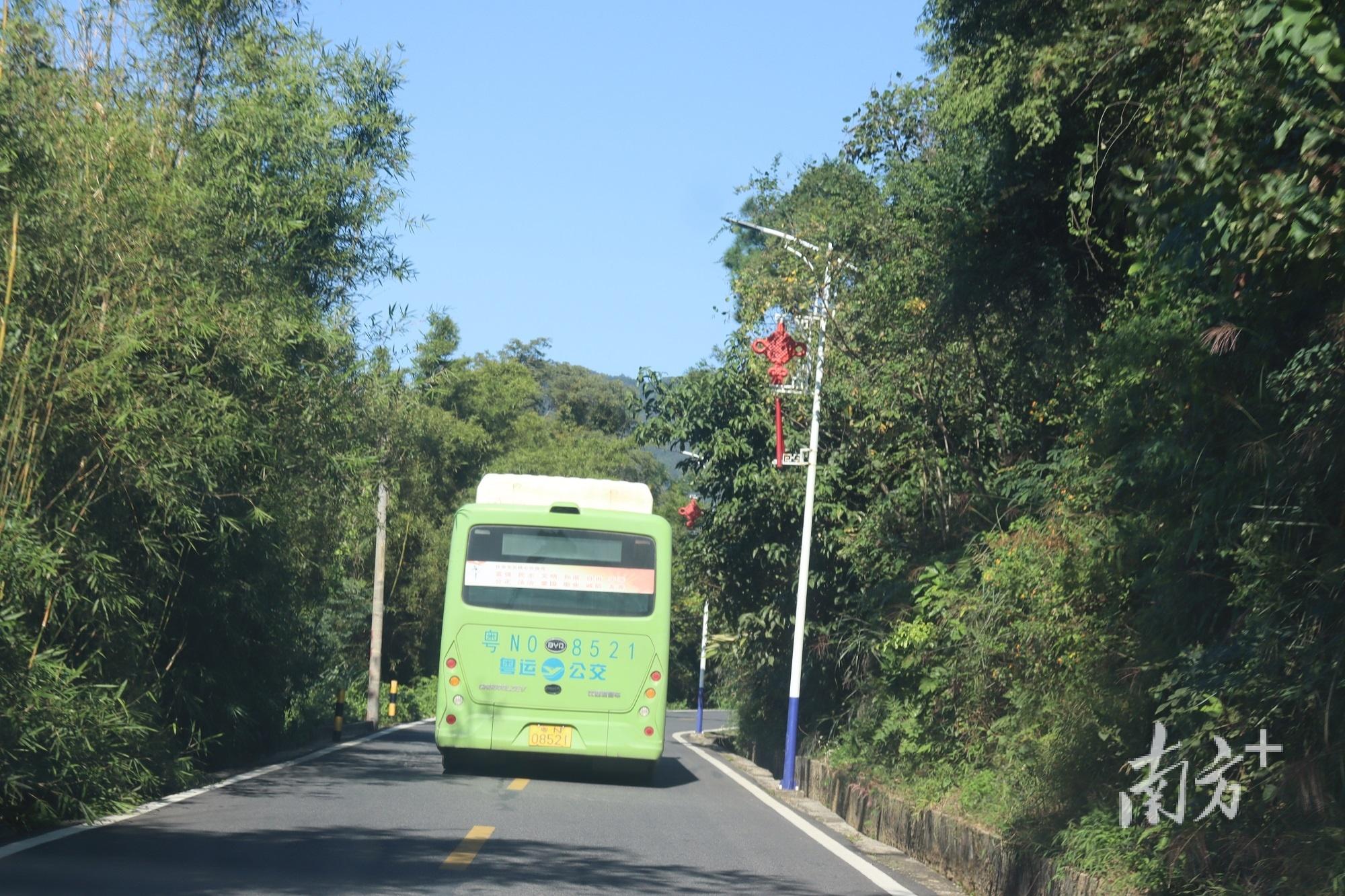 "校园巴士"解陆河共联村小学生上下学难题|陆河县|河田|巴士_新浪新闻