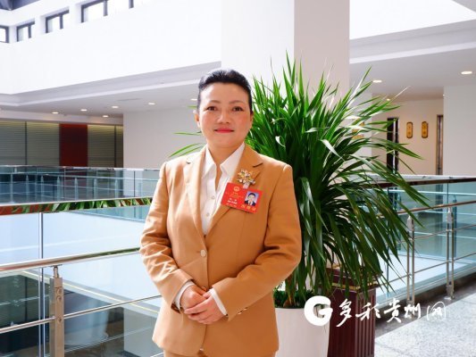 【履职故事】贵州省人大代表杨丽：帮助妇女家门口就业 为非遗传承贡献力量|杨丽|人大|贵州_新浪新闻