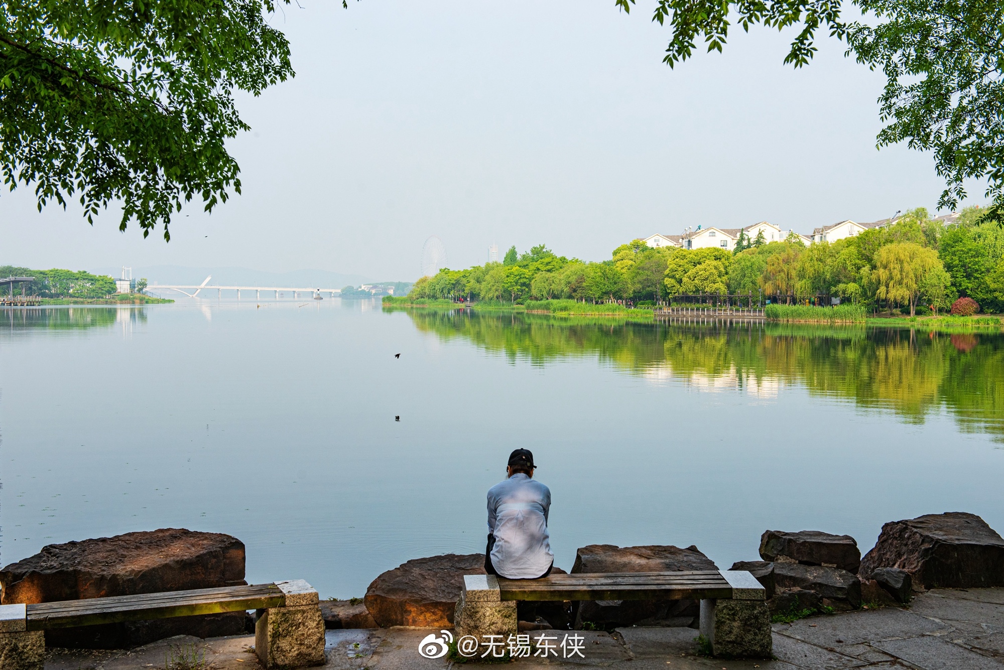 眼睛的奇妙世界 视觉错觉与宇宙奥秘