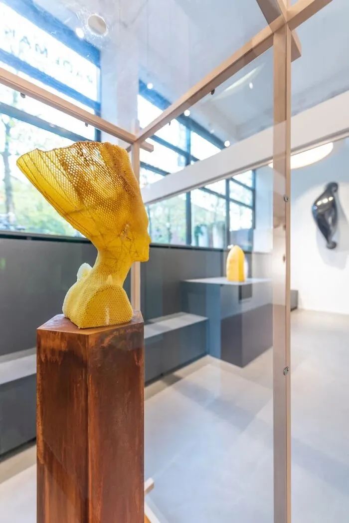 用6万只蜜蜂建造蜂巢雕塑,卖价30万,艺术家真会赚钱