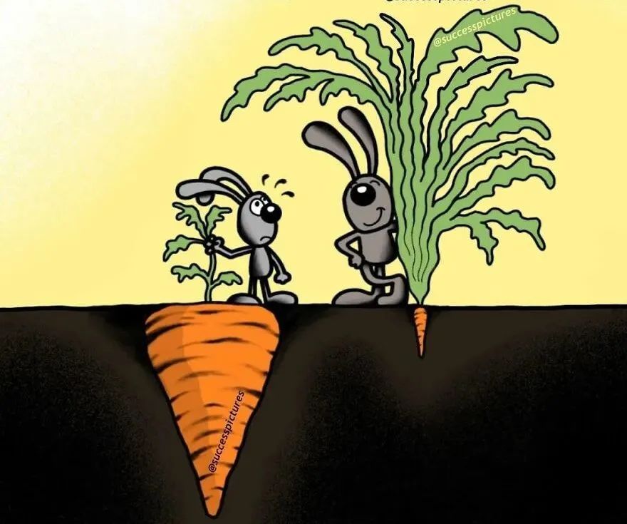 15幅富有哲理的插画给人带来的力量让你变成更好的自己