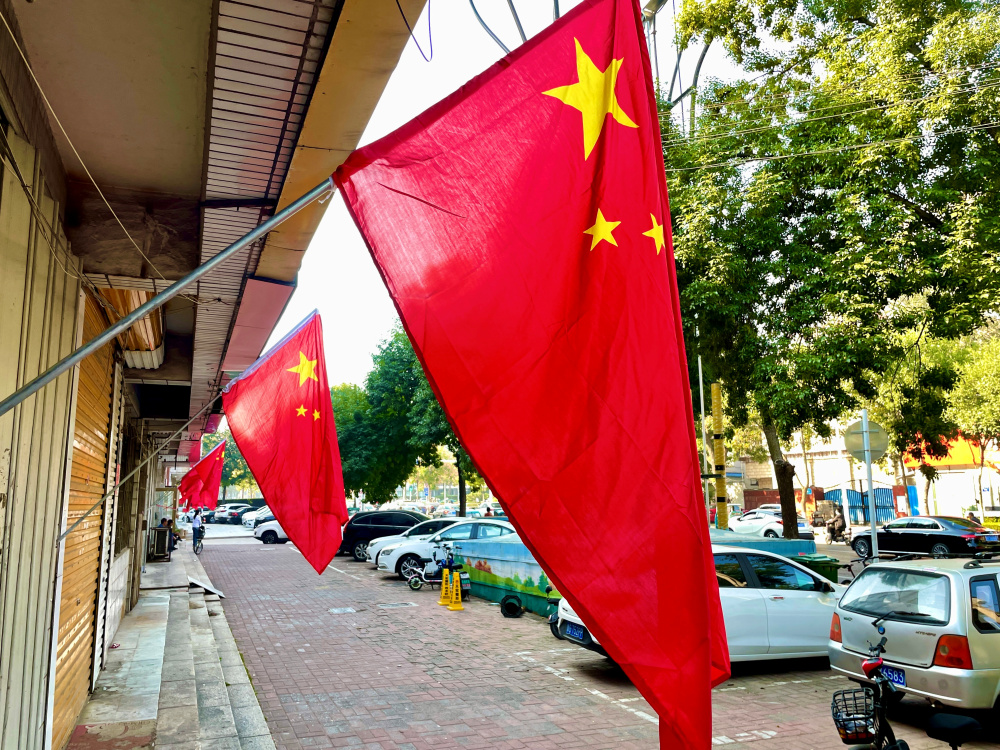 潍坊花团锦簇，节日“氛围感”已拉满休闲区蓝鸢梦想 - Www.slyday.coM