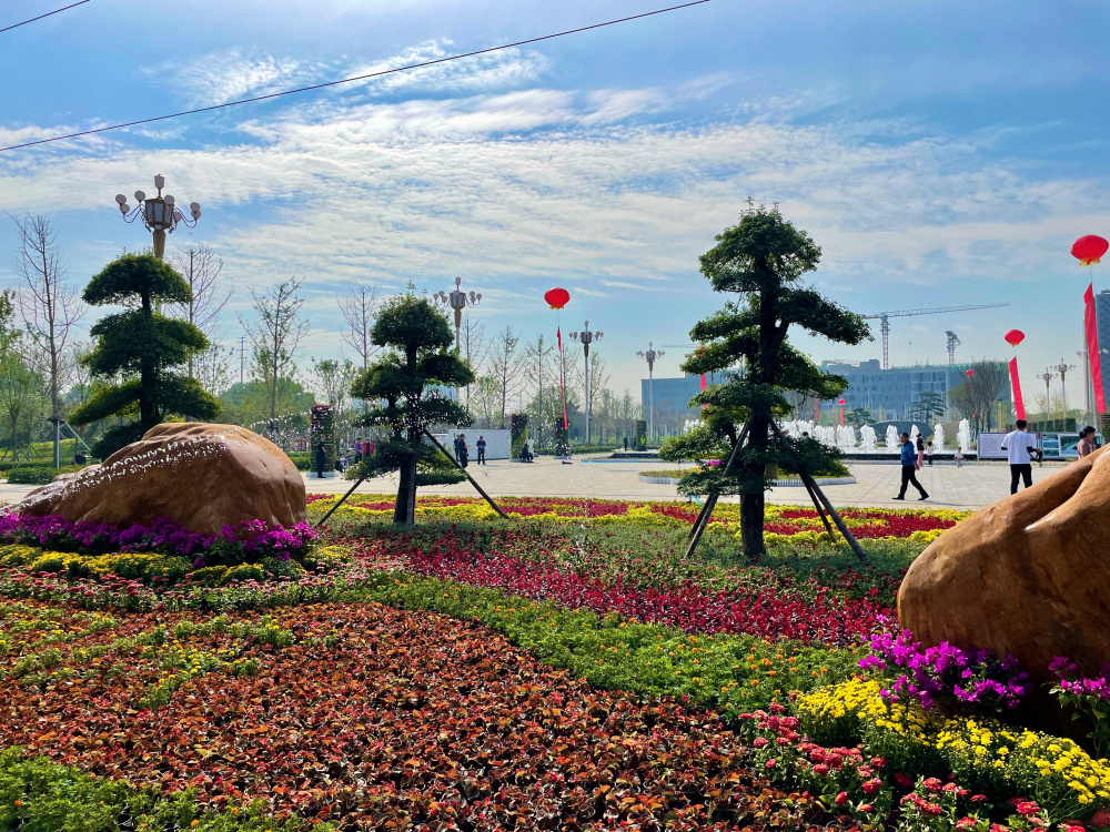 潍坊花团锦簇，节日“氛围感”已拉满休闲区蓝鸢梦想 - Www.slyday.coM