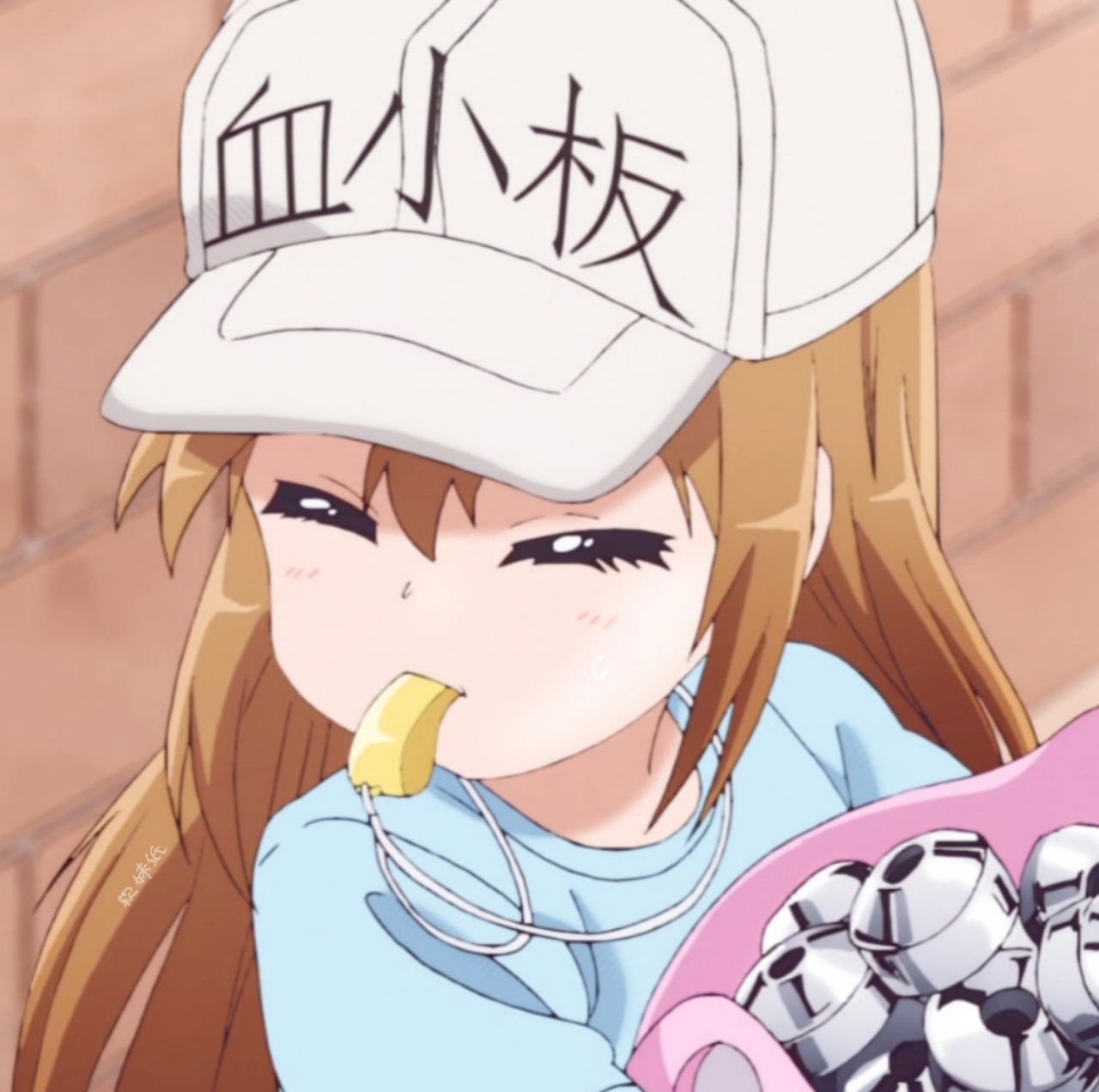 自截头像:血小板也太可爱了吧