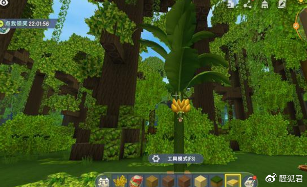 新版迷你世界雨林找不到大主播来告诉你方法