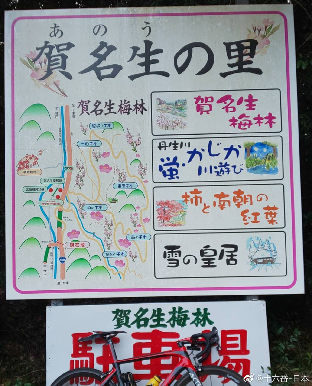 賀名生梅林 賀名生梅林