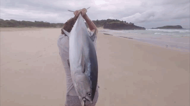 如今的钓鱼高手已经在用无人机钓鲨鱼了