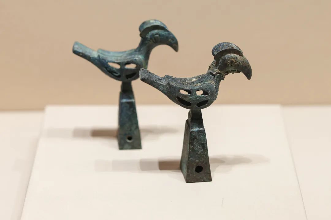 【带你看展】“且听凤鸣”不容错过的重点文物|晋侯燮父|博物馆|西周_新浪新闻