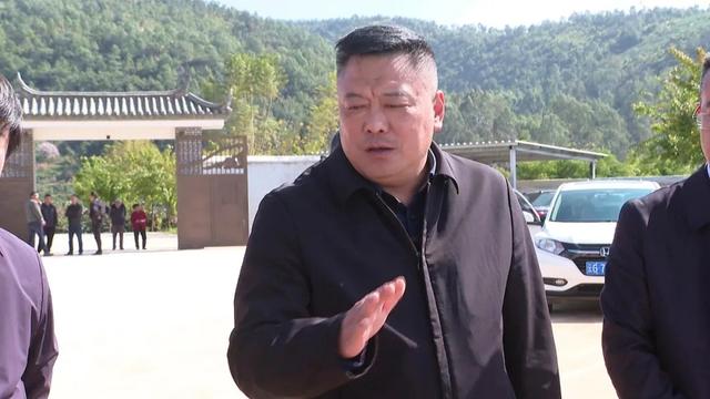 副州长李国民就石屏县推行林长制工作情况进行检查调研