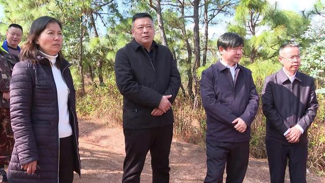 副州长李国民就石屏县推行林长制工作情况进行检查调研