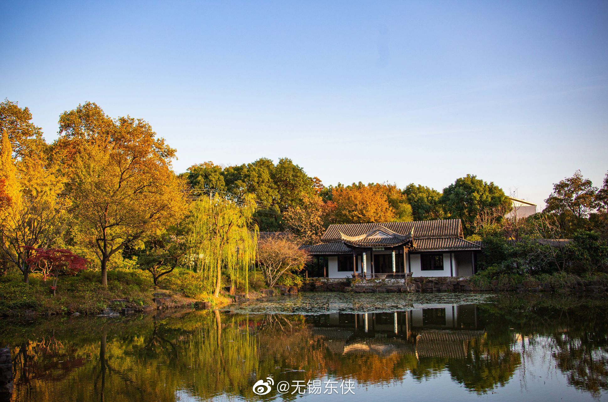 秋风起,无锡惠山古镇的中国杜鹃园里小桥流水亭台楼阁色彩斑斓