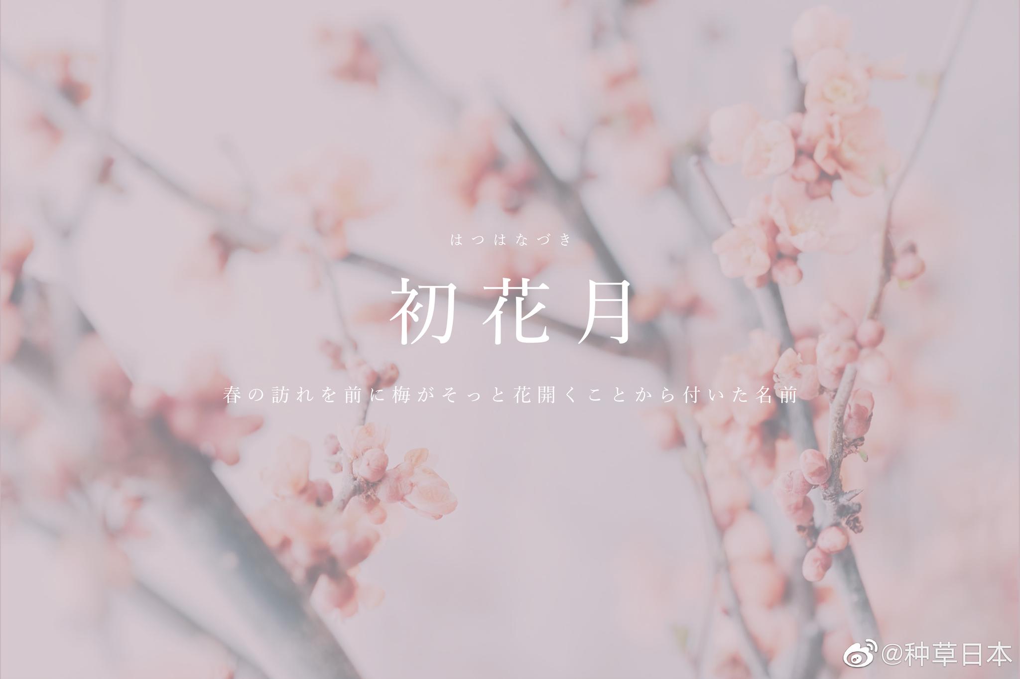 那些能从文字里感受到2月美好的别名们 那些能从文字里感受到2月美好的别名们