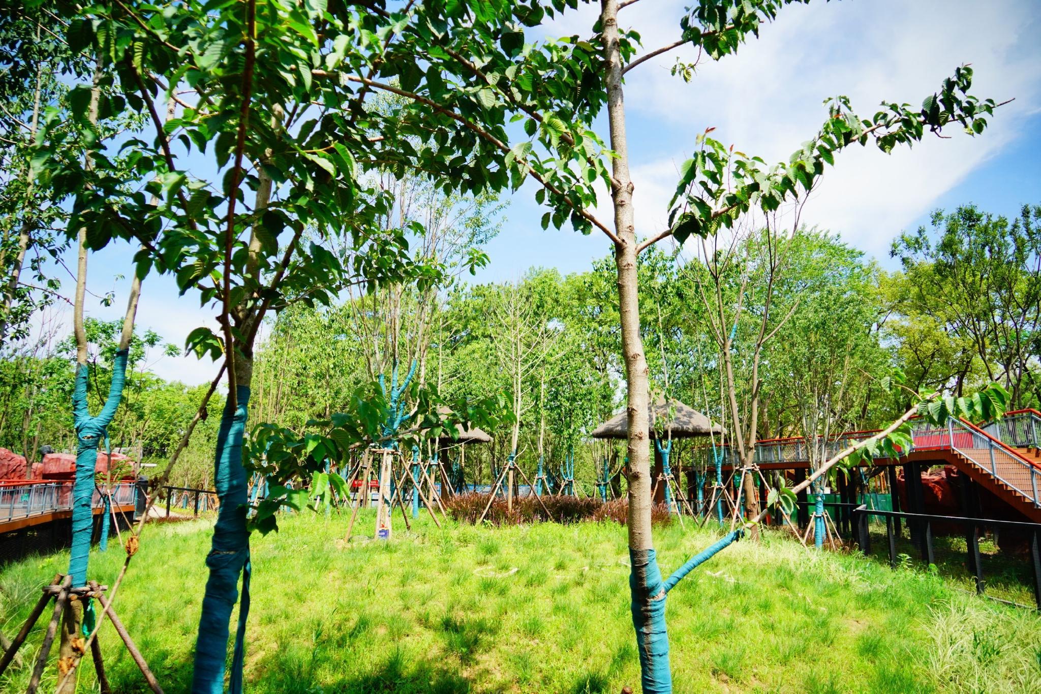 沙滩、泳池,野生动物们的“豪宅”长这样休闲区蓝鸢梦想 - Www.slyday.coM 沙滩、泳池,野生动物们的“豪宅”长这样休闲区蓝鸢梦想 - Www.slyday.coM