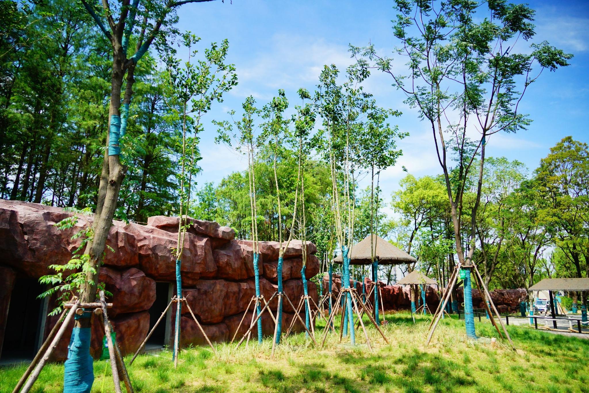 沙滩、泳池,野生动物们的“豪宅”长这样休闲区蓝鸢梦想 - Www.slyday.coM 沙滩、泳池,野生动物们的“豪宅”长这样休闲区蓝鸢梦想 - Www.slyday.coM