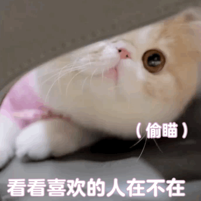 讲道理?我就是道理 拿图点赞,吱声
