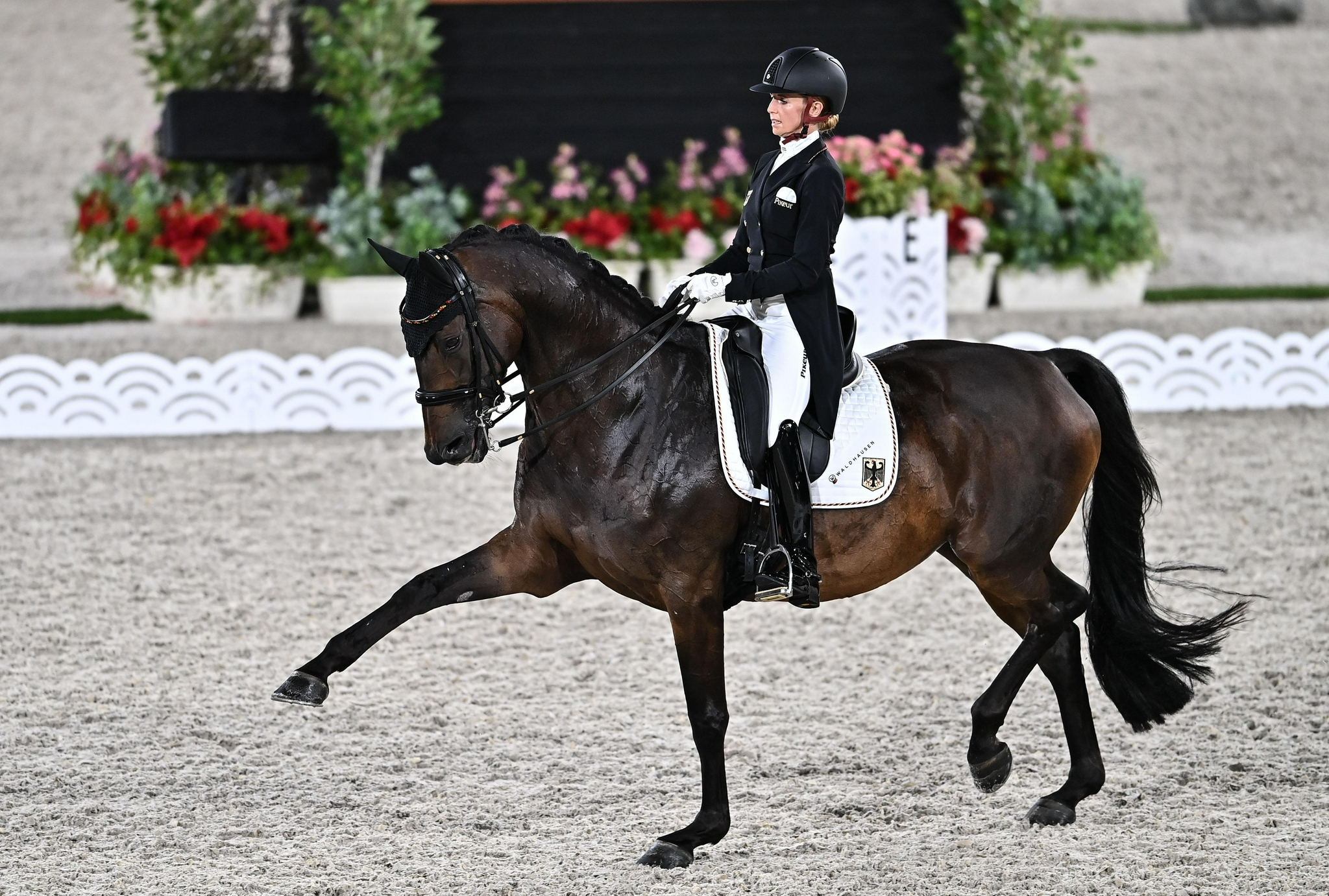 (东京奥运会)马术——盛装舞步赛况