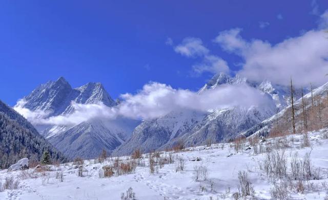 惊艳！这雪景，怕不是人间仙境吧休闲区蓝鸢梦想 - Www.slyday.coM