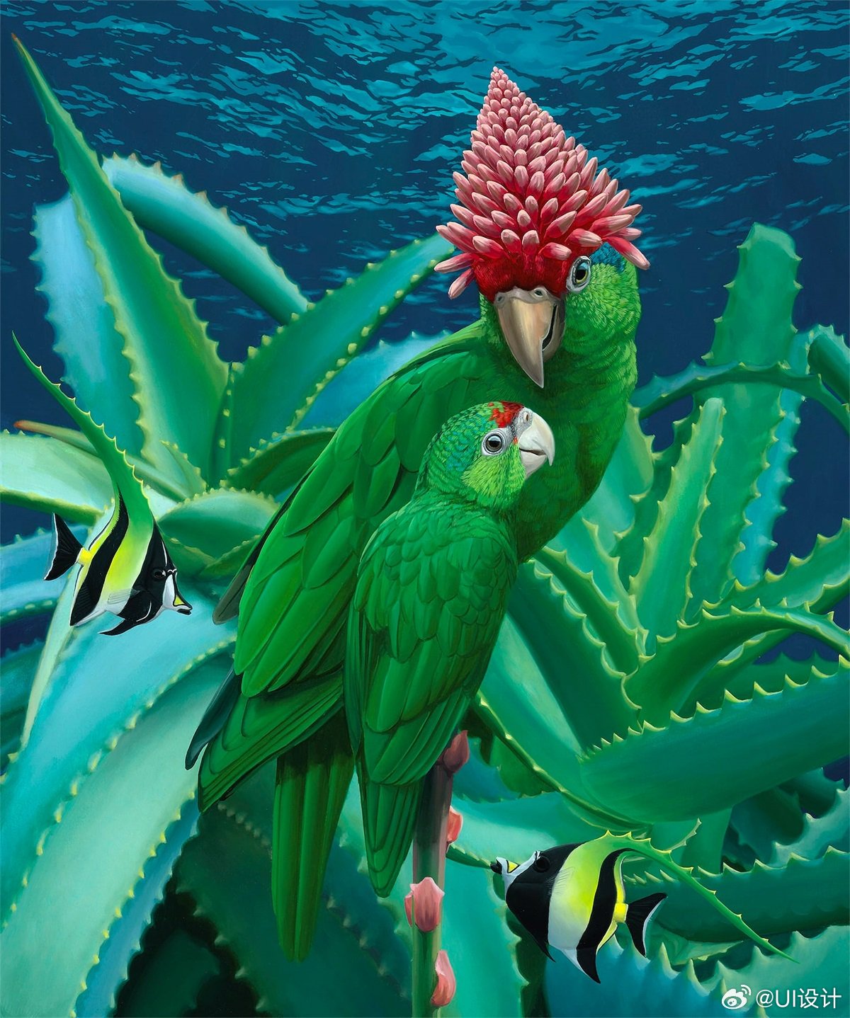 复杂精美动植物插画作品欣赏