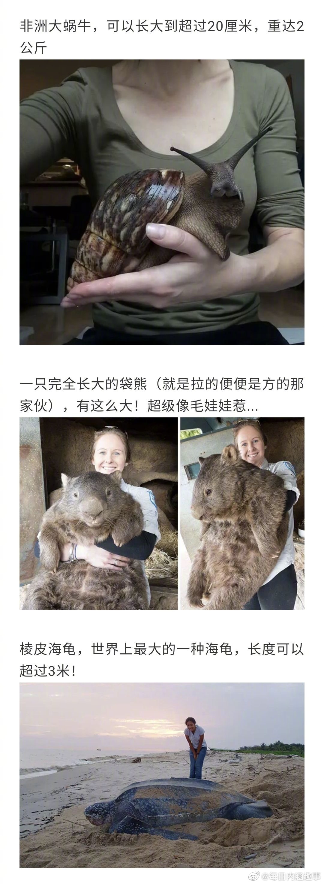 比你想象中还要大的东西！看完直呼好家伙...__财经头条