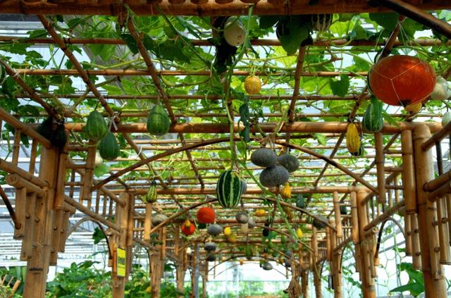 毕业季来了，一起来海湾拍出超好看的毕业照吧休闲区蓝鸢梦想 - Www.slyday.coM