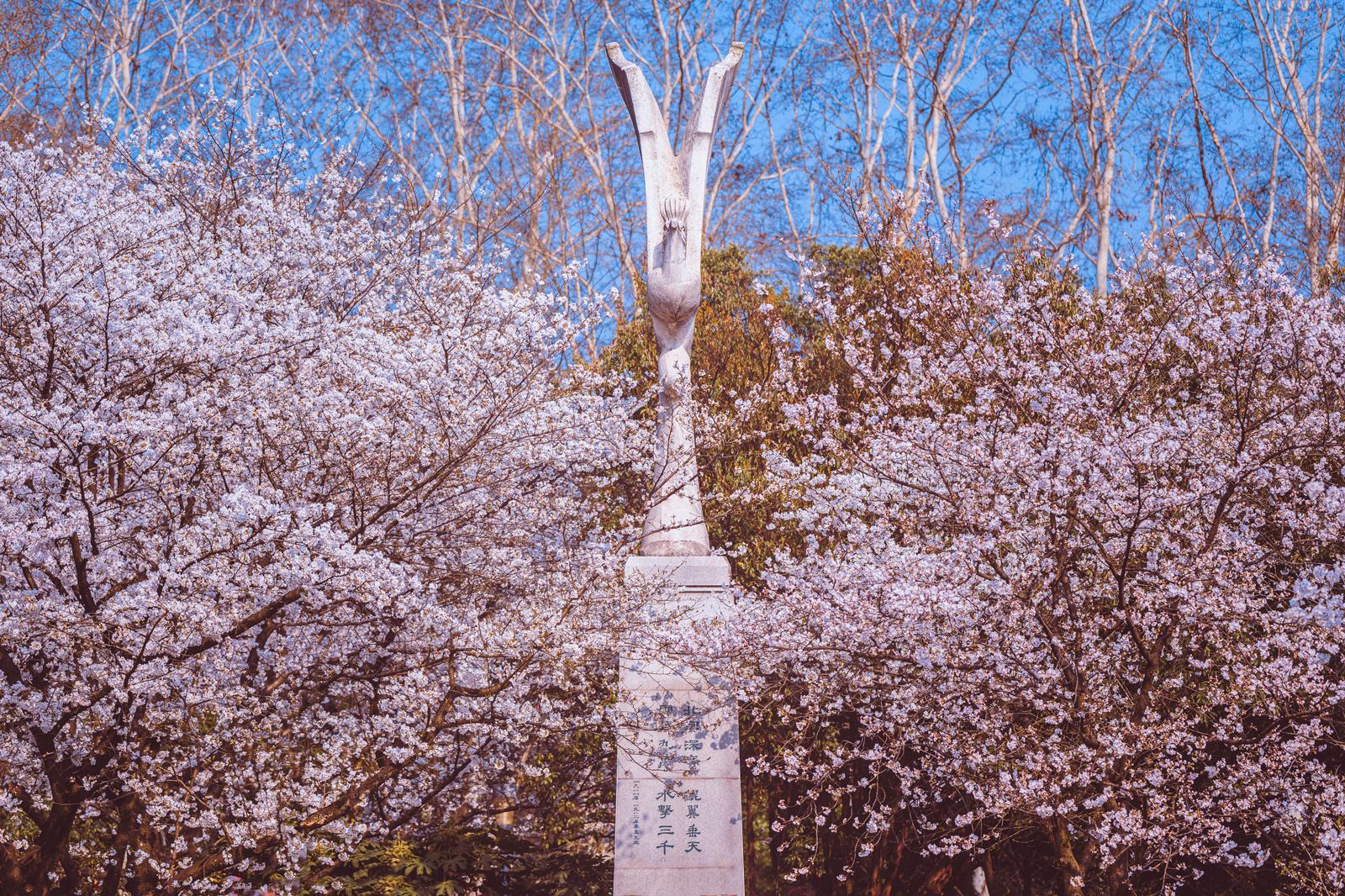 还记得那位身在武汉的巴九灵吗?他告诉我们