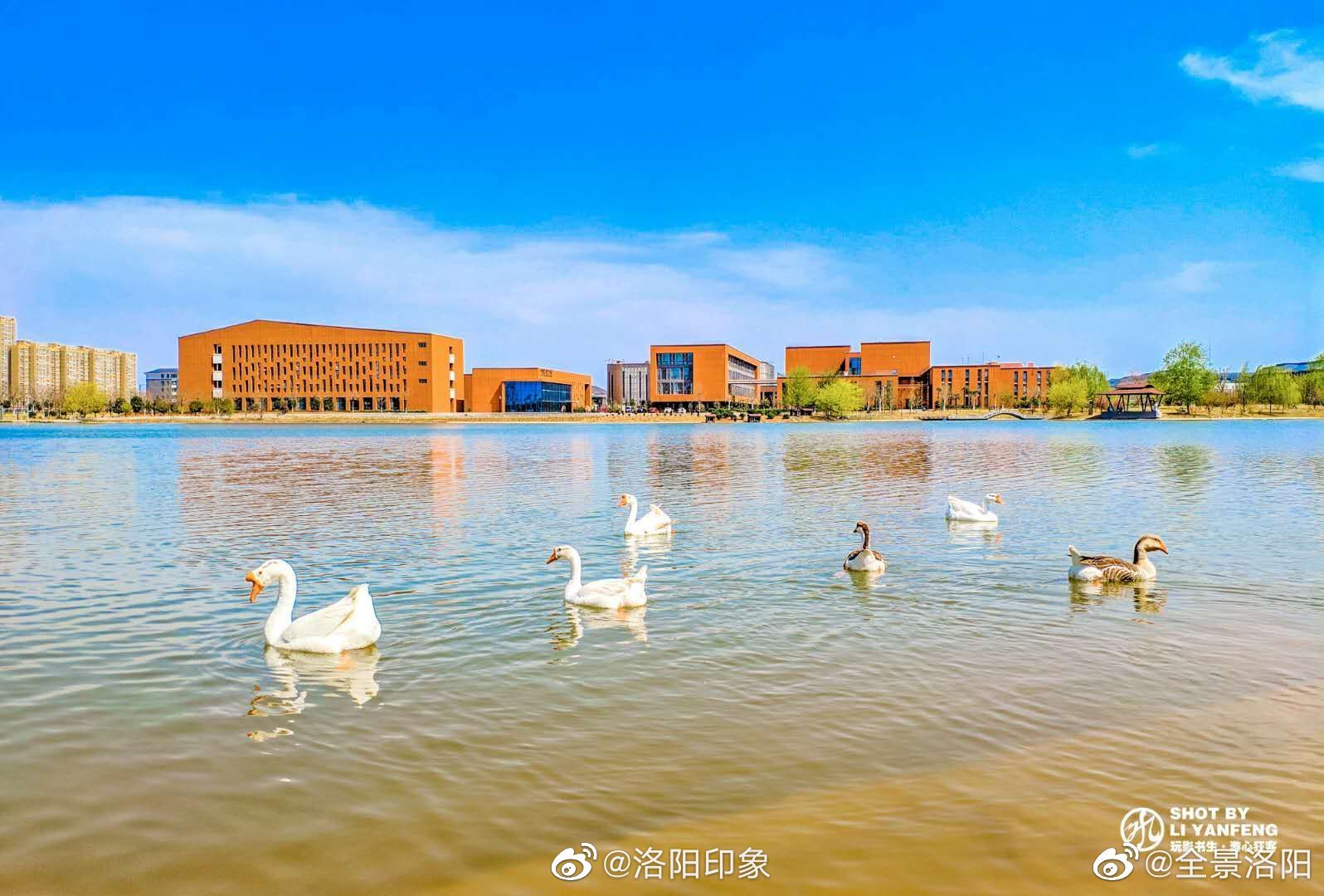 洛阳大学城建设获省教育厅支持