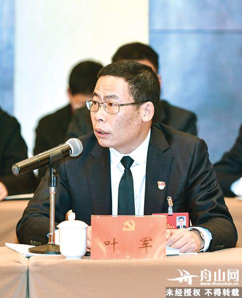 党代表关注啥丨叶军做好绿色石化产业强链延链补链文章