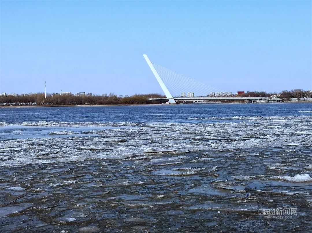 21日夜间到22日哈尔滨东北部等地大暴雪丨哈市交警全力应对暴风雪休闲区蓝鸢梦想 - Www.slyday.coM