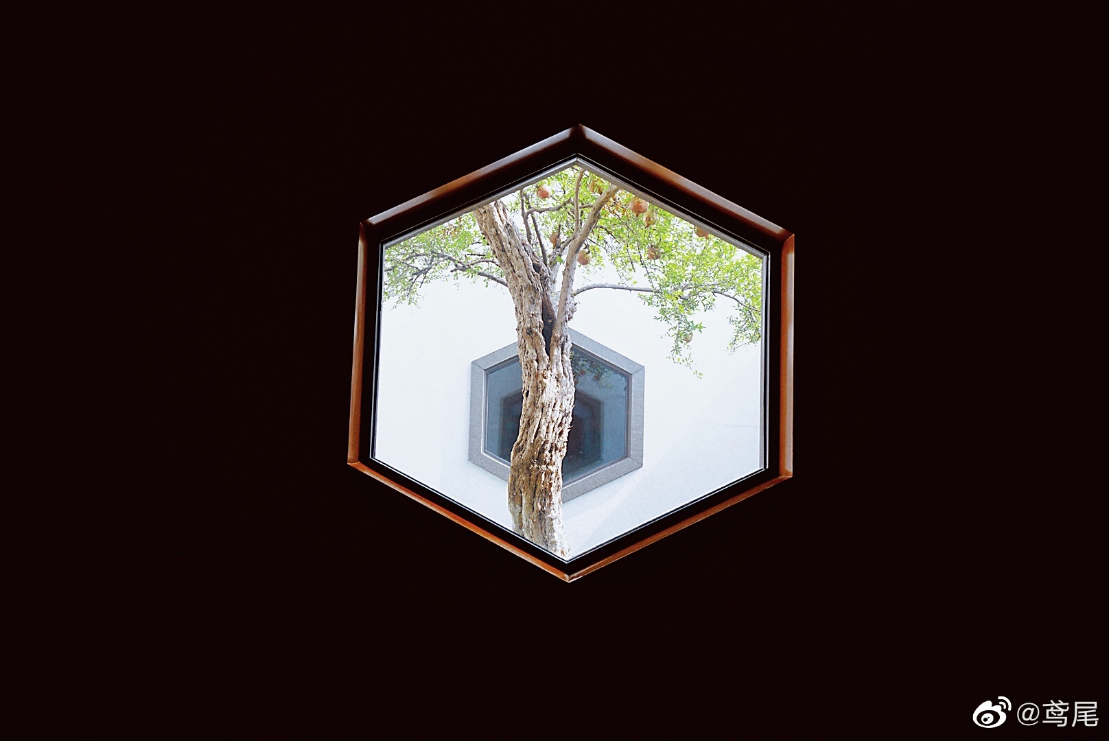 很多人来苏州博物馆是因为贝聿铭大师设计的新馆，很适合拍照