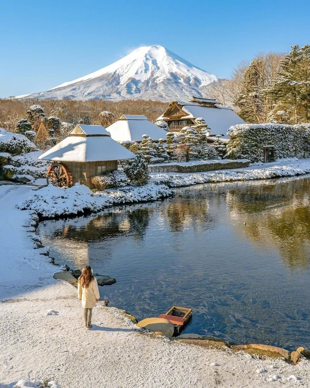 冬天的忍野八海 富士山下的白雪世界 纯净如童话 冬天的忍野八海 富士山下的白雪世界 纯净如童话