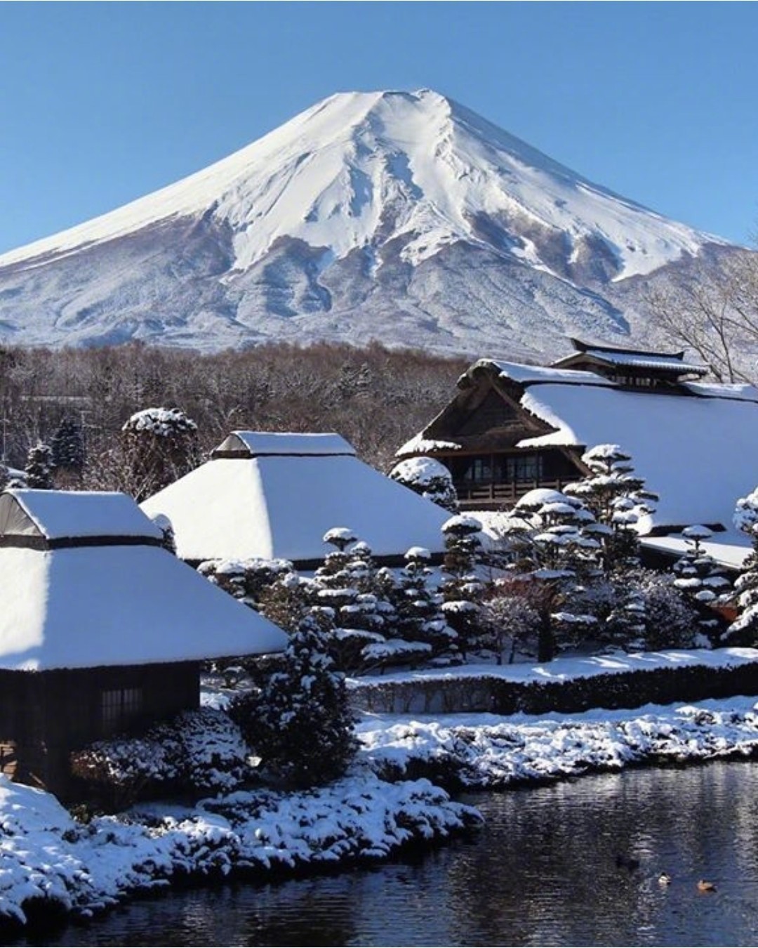 富士 の 白雪 落語