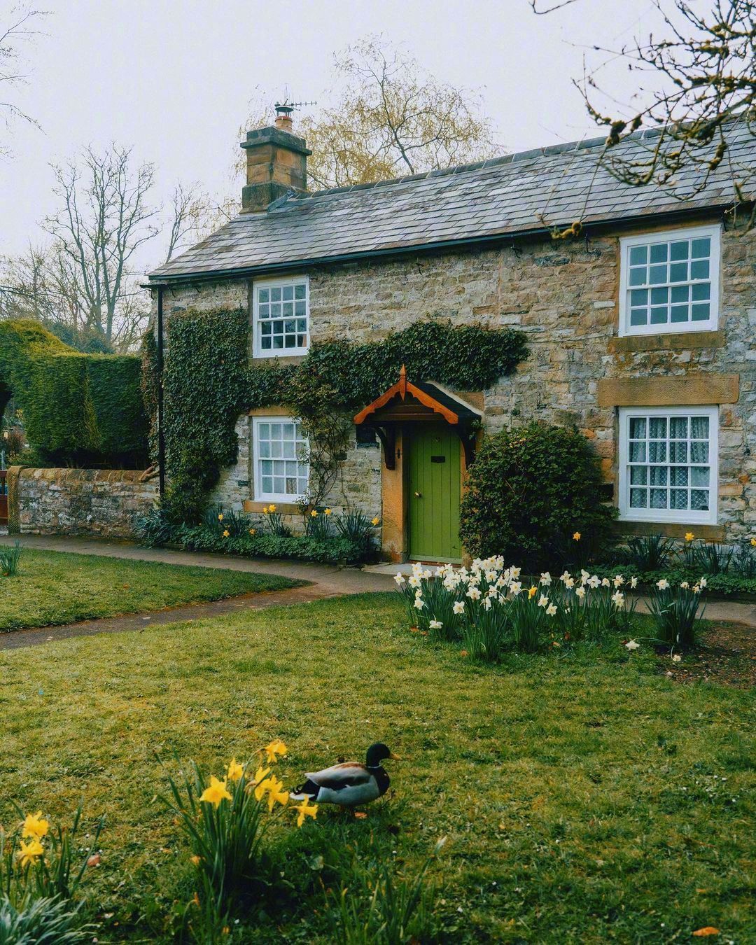 英国乡村生活_高清图集_新浪网