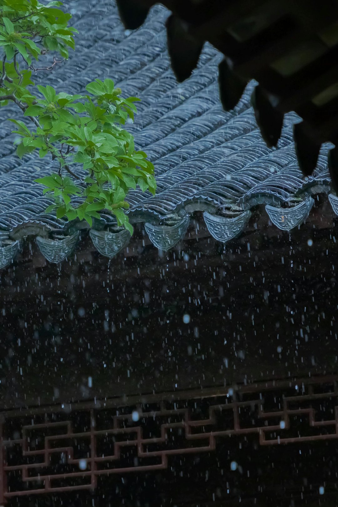听雨，檐外